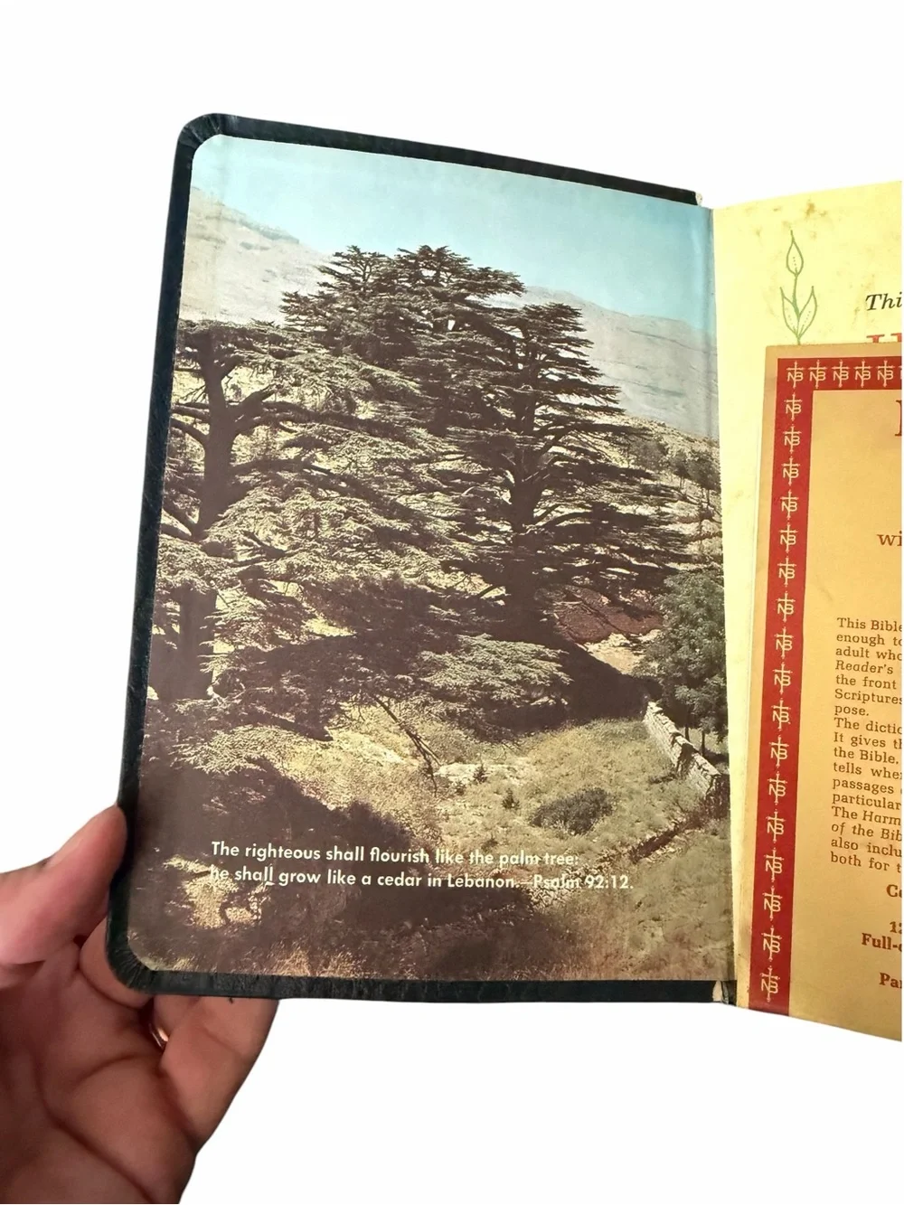 Vintage Thomas Nelson De Luxe Award KJV Bible Red Letter Gold Edges Reader Guide
